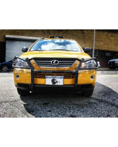 Black Horse Off Road ® - Grille Guard (17G80330MA)