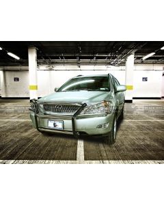 Black Horse Off Road ® - Grille Guard (17G80330MSS)