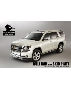 Black Horse Off Road ® - Bull Bar (BB037411-SP)