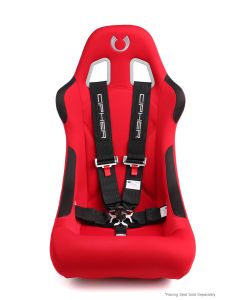 Cipher Auto ® - Black 5 Point 3 Inches Camlock Racing Harness SFI 16.1 (CPA4005BK)