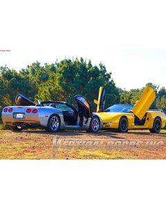 Vertical Doors Vertical Lambo Door Conversion Kit (ZLRC59704), Main Image